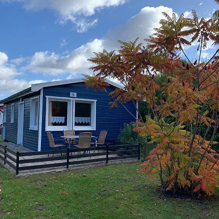 Feriendorf Boeker Muehle Exteriör bild